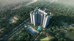 Sky Building View